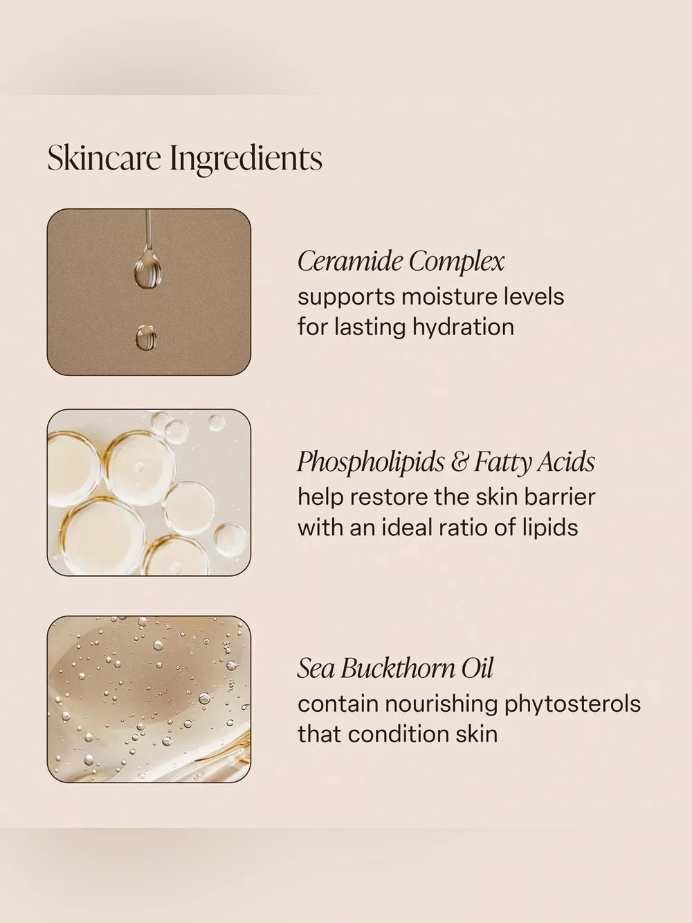 Saltair Multi-Lipid Replenishing Body Butter •Bundle of 2•